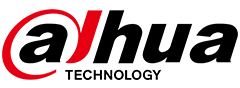 dahua